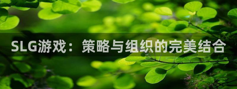 u8预算凭证在哪生成
