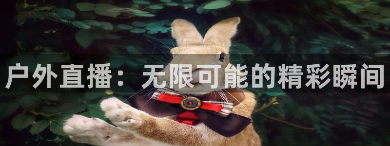 乐球免费直播：户外直播：无限可能的精彩瞬间