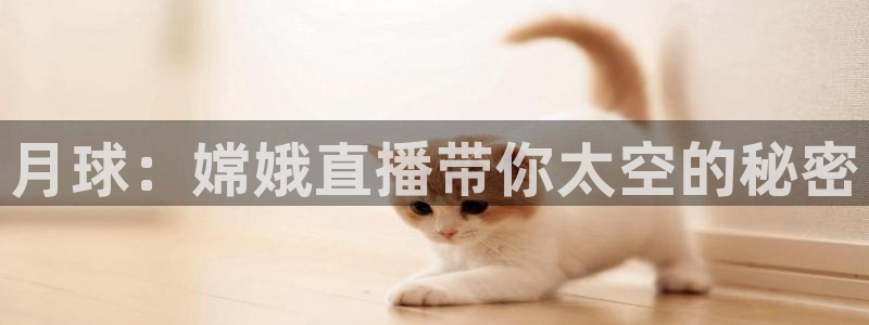 乐球直播nba高清直播