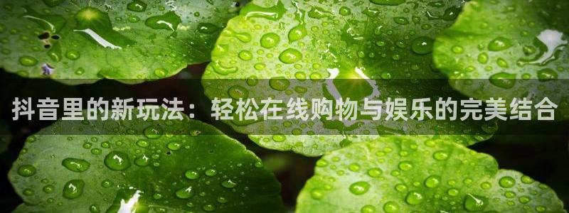 乐球足球直播在线观看高清