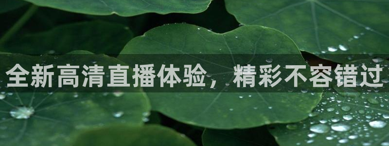 乐球直播nba赛事