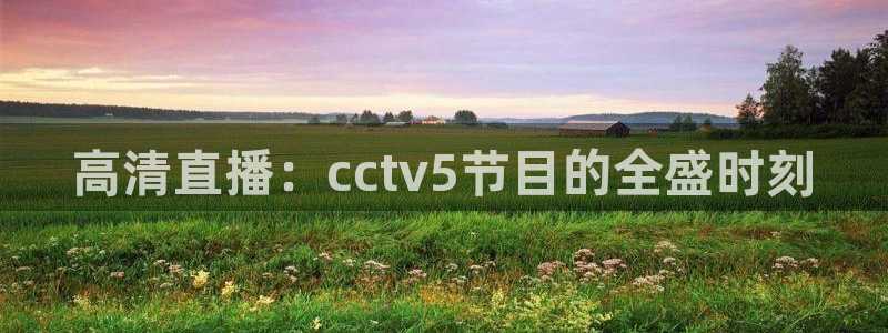 nba免费高清直播观看乐球