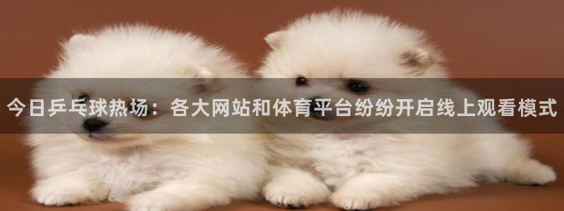 nba乐球直播：今日乒乓球热场：各大网站和体育平台纷纷开启线上观看模式