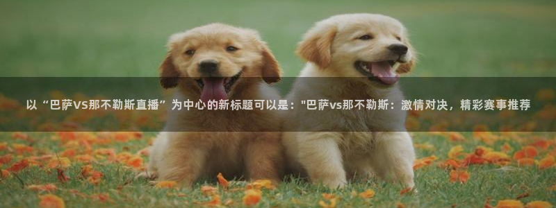 乐球吧nba直播雨燕360