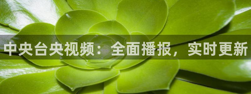 nba赛程直播乐球直播