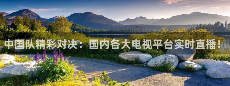 乐球吧在线直播：中国队精彩对决：国内各大电视平台实时直播！