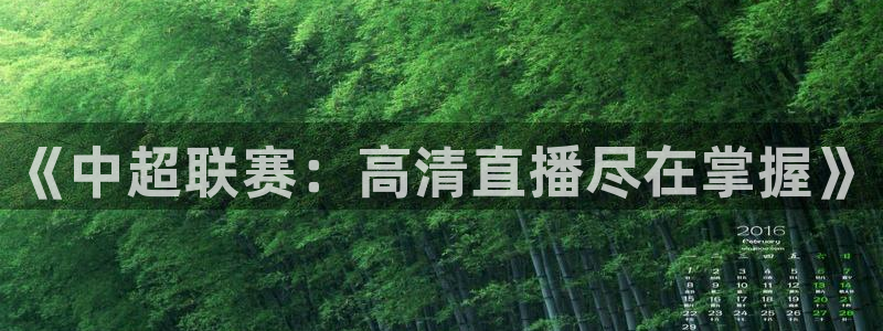 乐球体育足球直播：《中超联赛：高清直播尽在掌握》