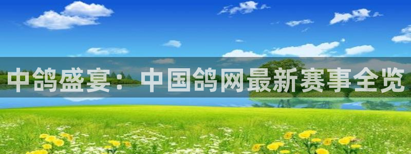 nba在线直播免费观看直播乐球：中鸽盛宴：中国鸽网最新赛事全览