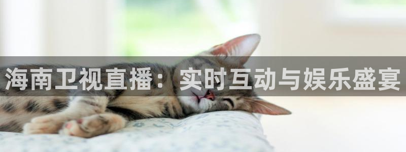乐球体育直播app下载安装