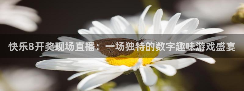下载乐球直播：快乐8开奖现场直播：一场独特的数字趣味游戏盛宴